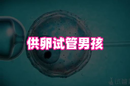 123试管孕网 4